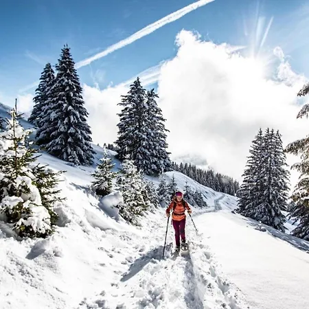 Orchidee Od17 Telecabine & Mountain 6 Pers Apartment Chatel