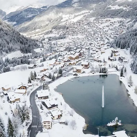 Orchidee Od17 Telecabine & Mountain 6 Pers Chatel