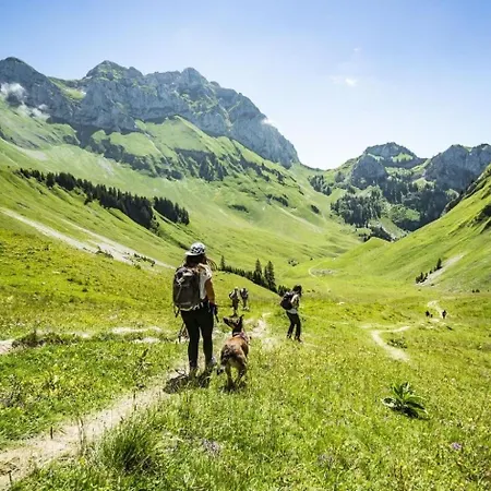 Orchidee Od17 Telecabine & Mountain 6 Pers * Chatel