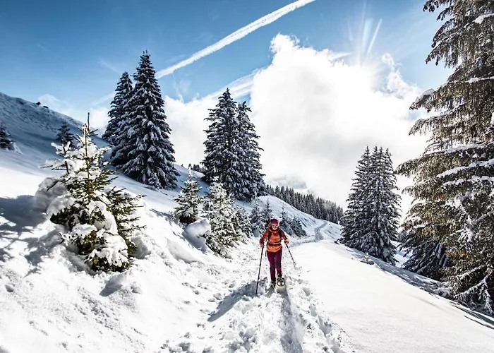 Orchidee Od17 Telecabine & Mountain 6 Pers Apartmán Châtel