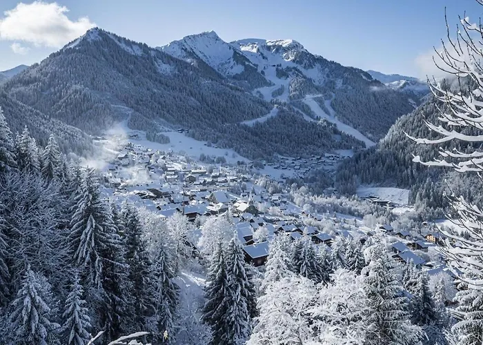 Orchidee Od17 Telecabine & Mountain 6 Pers Apartmán Châtel