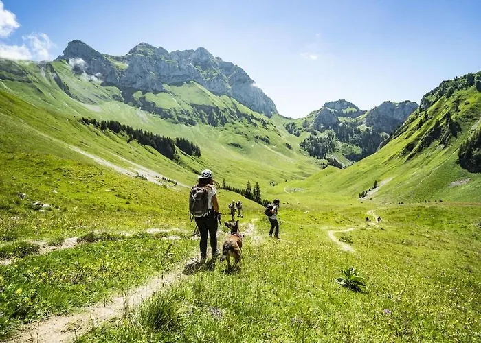 Orchidee Od17 Telecabine & Mountain 6 Pers * Châtel