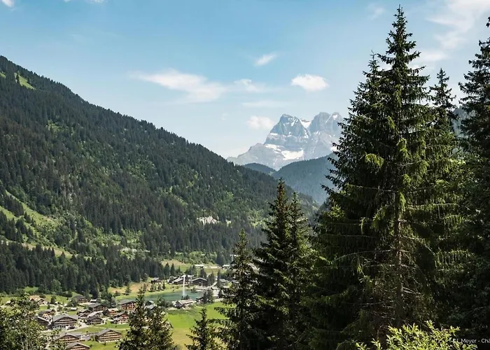 Orchidee Od17 Telecabine & Mountain 6 Pers * Châtel